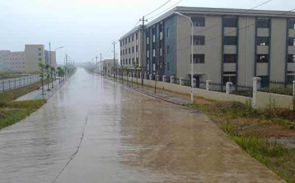 �V�����I�@�^