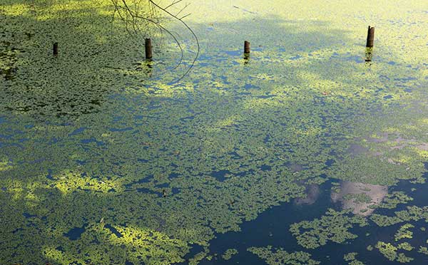 污水坑威脅水源 污水坑威脅水源