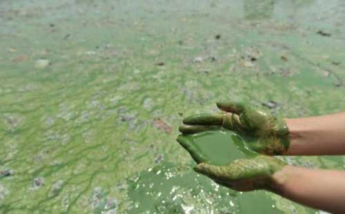 �S��ˮ��Ⱦ