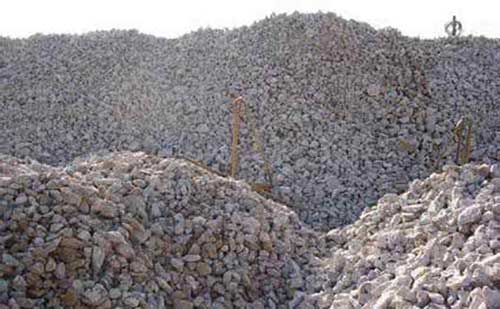 �����}����̎��