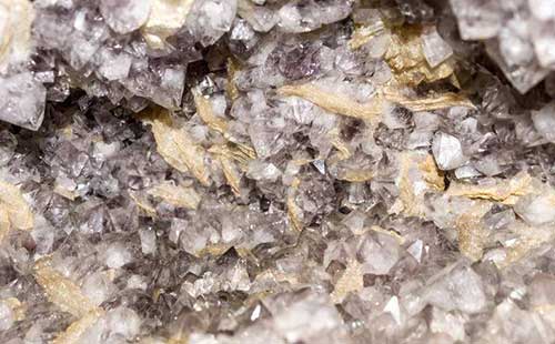 �����}����̎��