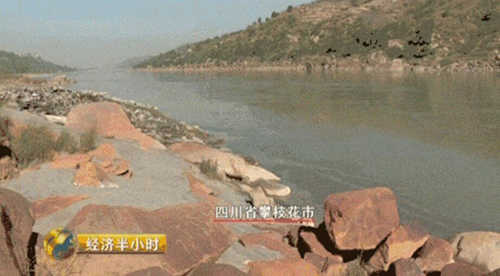 �Ĵ���֦��